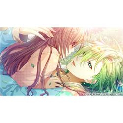 Switch】 Glass Heart Princess(グラスハートプリンセス) for Nintendo