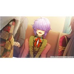 Switch】 Glass Heart Princess(グラスハートプリンセス) for Nintendo