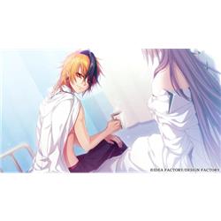 Switch】 Glass Heart Princess(グラスハートプリンセス) for Nintendo