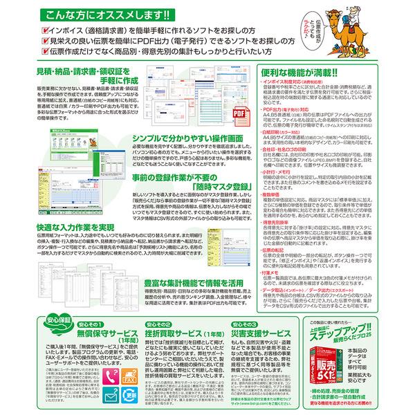 BSLシステム研究所 会計らくだ25 悔しい