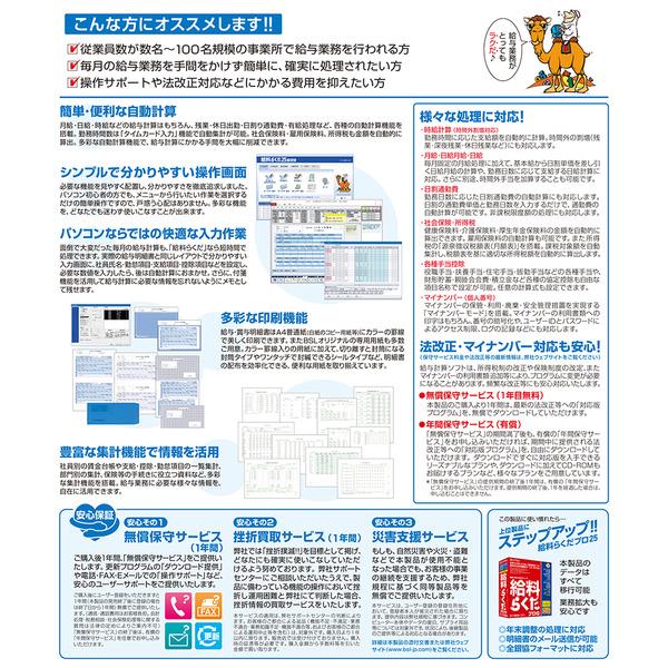 BSLシステム研究所 出納らくだ25（Windows 11に対応、「かるがる