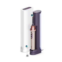 Dyson OC01-PI