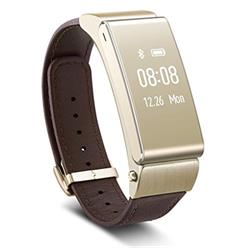 HUAWEI TALKBANDB2