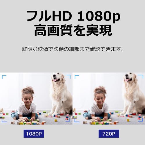 TPLink TAPOC100 Tapo C100 ネットワークWi-Fiカメラ 3年保証