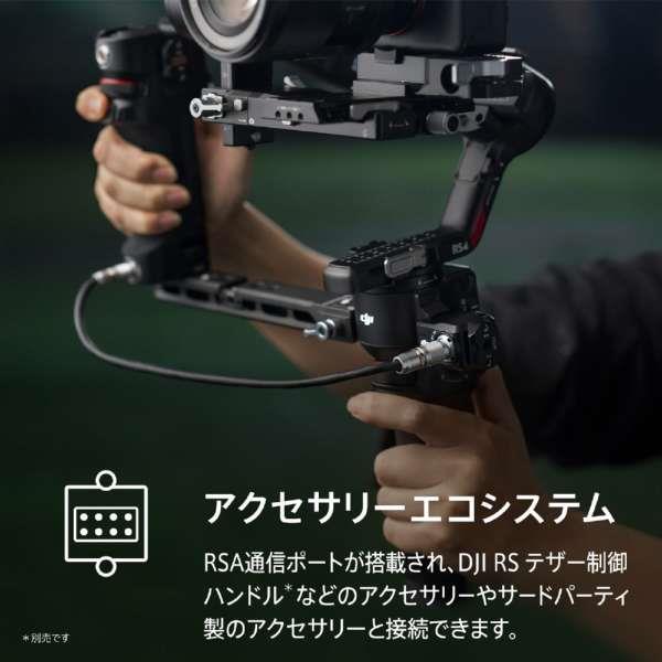 DJI DJI RS 4 カメラスタビライザー RS4001 | ノジマオンライン