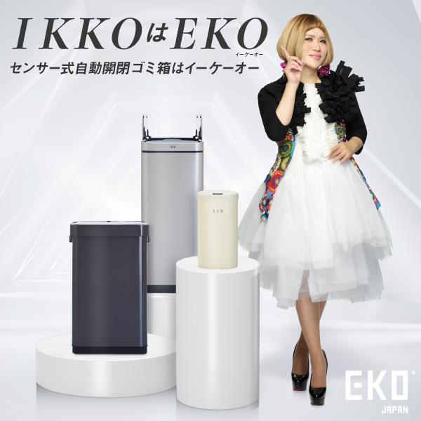 EKO JAPAN EK9378BS-45L センサーゴミ箱 デラックスミラージュ T EKO JAPAN EK9378BS-45L センサーゴミ箱 デラックスミラージュ T