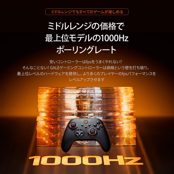 BIGBIG WON ゲーミングコントローラー ワイヤレス＆有線 ブラック GALE