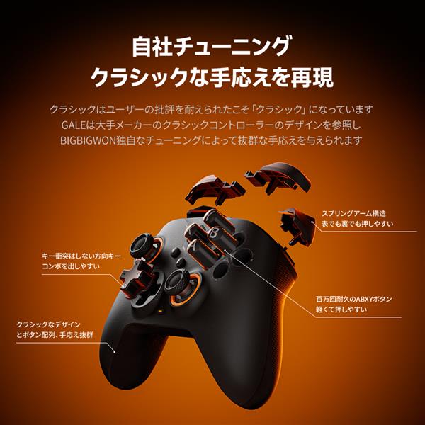 BIGBIG WON ゲーミングコントローラー ワイヤレス＆有線 ブラック GALE