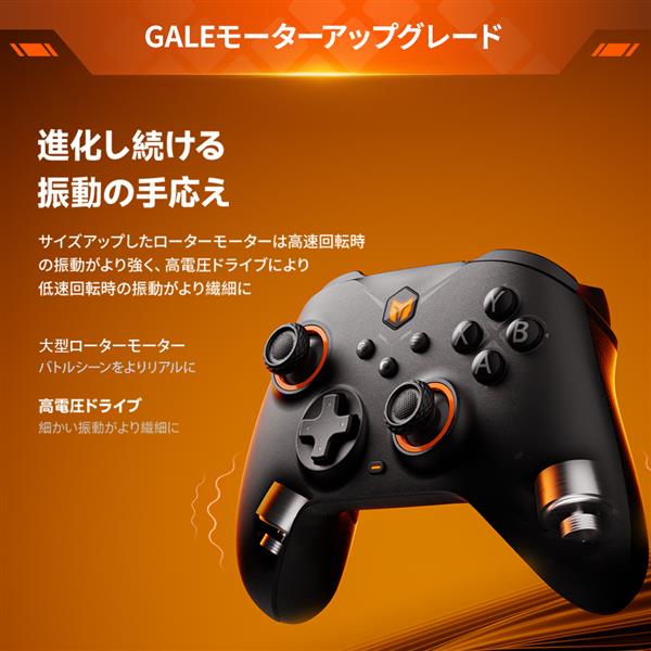 BIGBIG WON ゲーミングコントローラー ワイヤレス＆有線 ブラック GALE