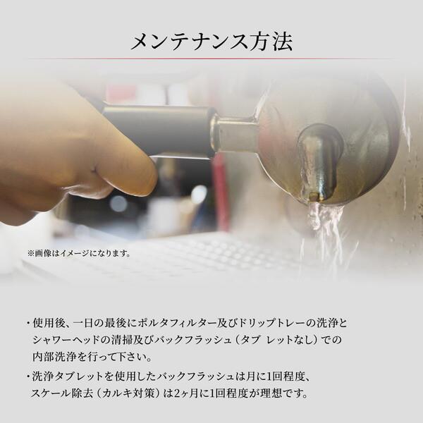 GAGGIA GAGGIA ガジア セミオートエスプレッソマシン CLASSIC evo pro