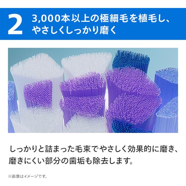 PHILIPS 替えブラシ ソニッケアー ジェントルブラシヘッド HX605293