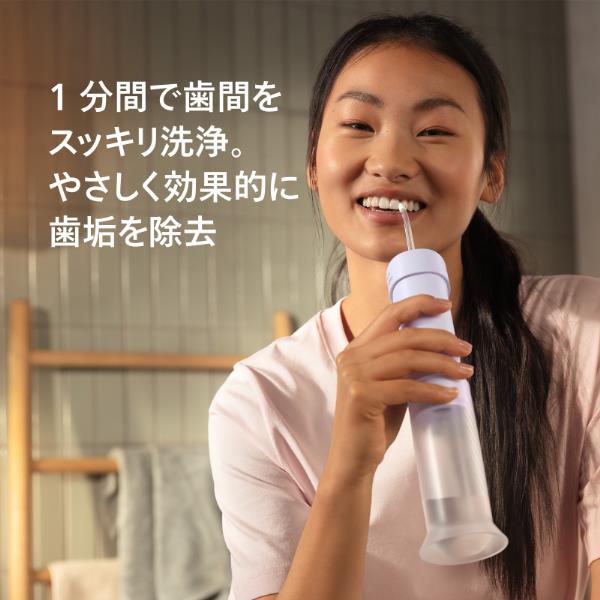 PHILIPS ソニッケアーコンパクトフロッサー ノズル2本セット