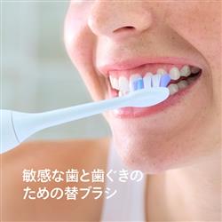 フィリップス 替えブラシ ソニッケアー ジェントルプラスブラシヘッド