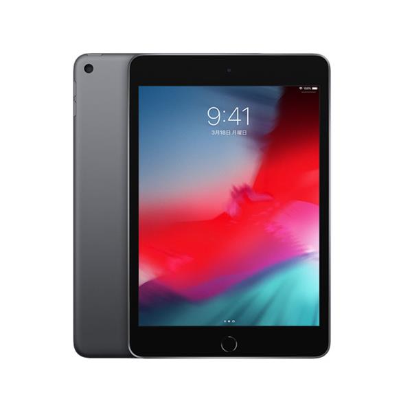 ジャンク品】iPad mini5 256GB Cellularモデル-