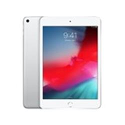 iPad mini 5  Wi-Fi  silver  64GB ジャンク