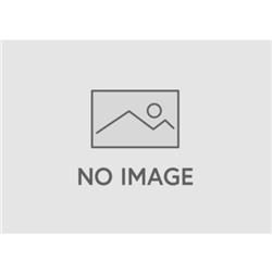 APPLE MPTL2J-A-464515