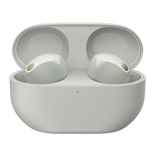 WF-1000XM5 プラチナシルバー ケースのみ APPLE 【Cランク中古品】 WF-1000XM5 プラチナシルバー WF-1000XM5