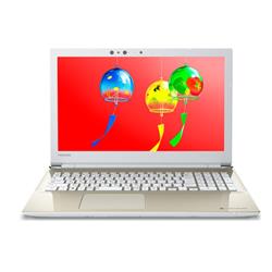 dynabook P1E6RNBG-124