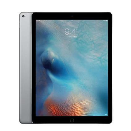 Apple SB-3A787J--738029 【ジャンク品】 Softbank iPad Pro
