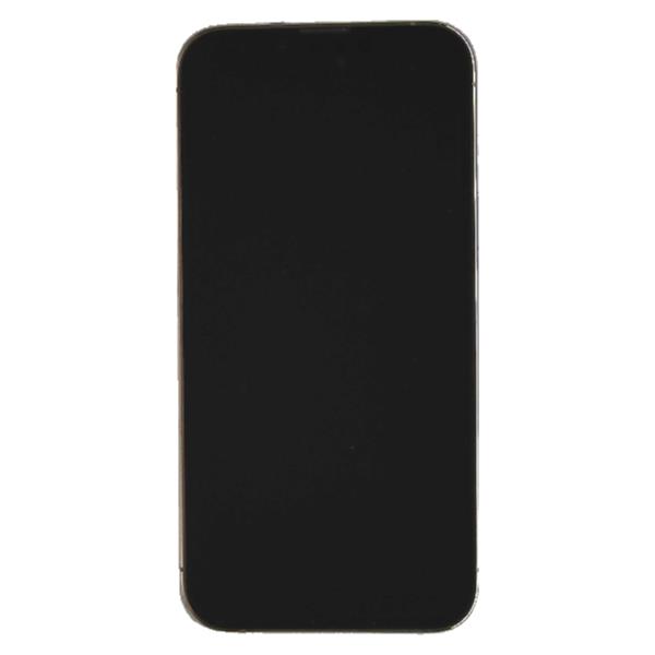 APPLE 【Aランク中古品】 SIMロック解除済 DOCOMO iPhone 13 Pro