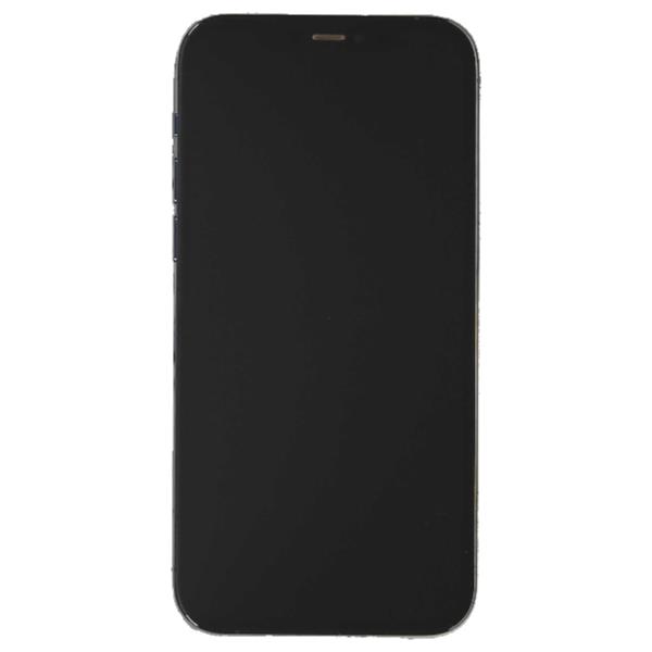 APPLE 【Bランク中古品】 SIMロック解除済 DOCOMO iPhone 12 Pro 256