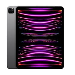 APPLE FP223J--358705113239018