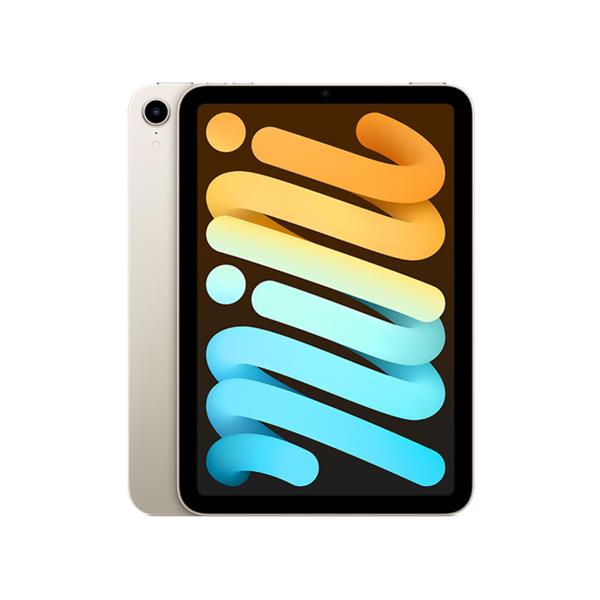 APPLE 【Cランク中古品】 Wi-Fiモデル iPad mini 6th Gen 256 GB