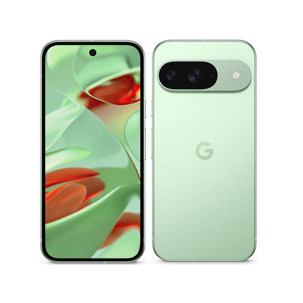 Google 【Sランク中古品】 SIMロック解除済 SIMフリー Google Pixel 9