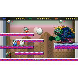 DAEWONMEDIA HAC-P-A7S7DJ 【Switch】 SNOWBROS.(スノー