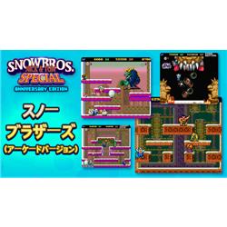 DAEWONMEDIA HAC-P-A7S7DJ 【Switch】 SNOWBROS.(スノー