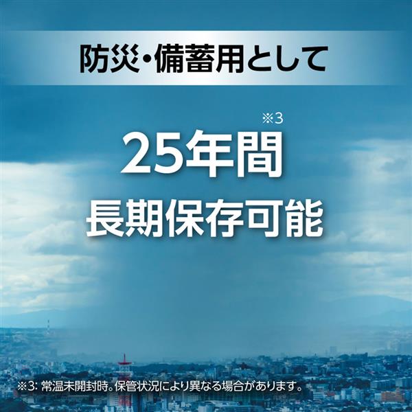 エナジャイザー LAAA2PKJP リチウム乾電池 エナジャイザー【単四