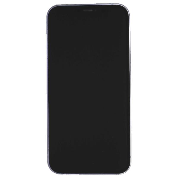 APPLE 【Cランク中古品】 SIMロック解除済 DOCOMO iPhone 12 64 GB