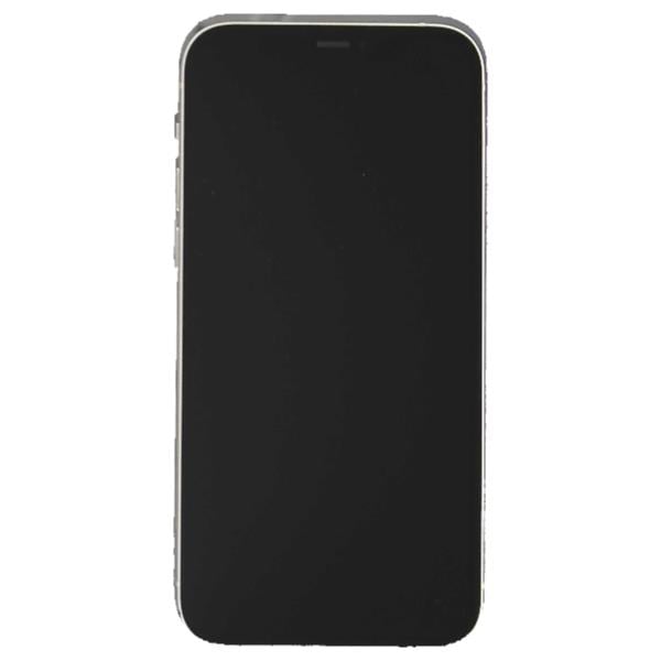 APPLE 【Bランク中古品】 SIMロック解除済 DOCOMO iPhone 12 64 GB