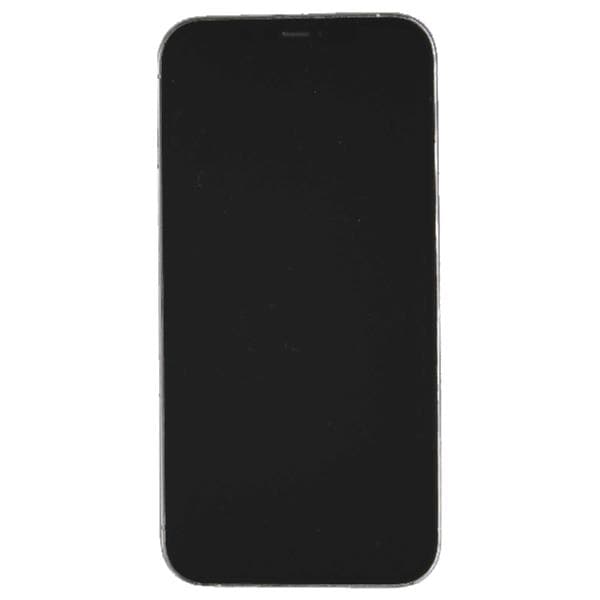 APPLE 【Bランク中古品】 SIMロック解除済 DOCOMO iPhone 12 Pro Max